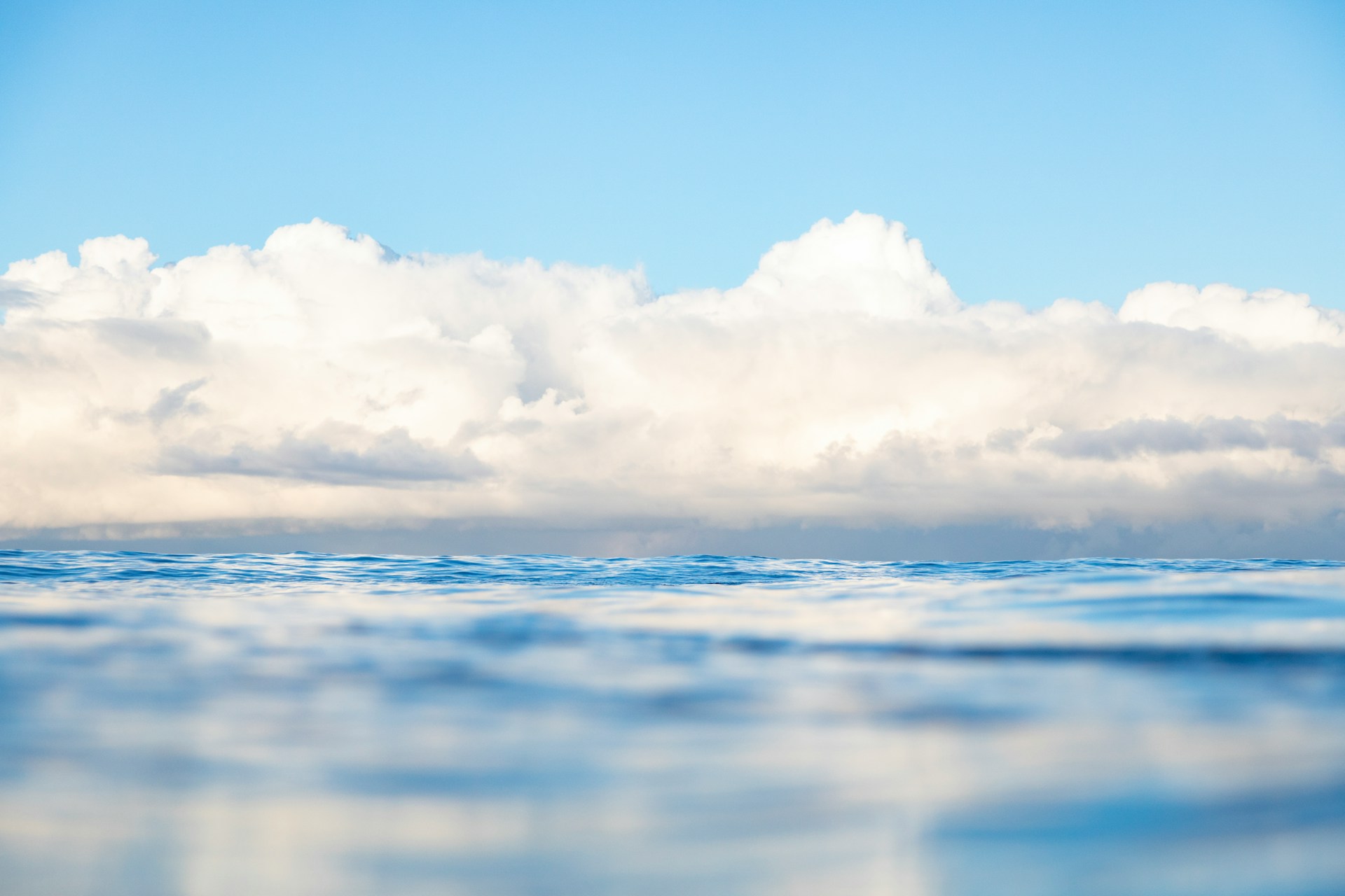 ¿Pueden los arrecifes predecir el futuro aumento del nivel del mar?